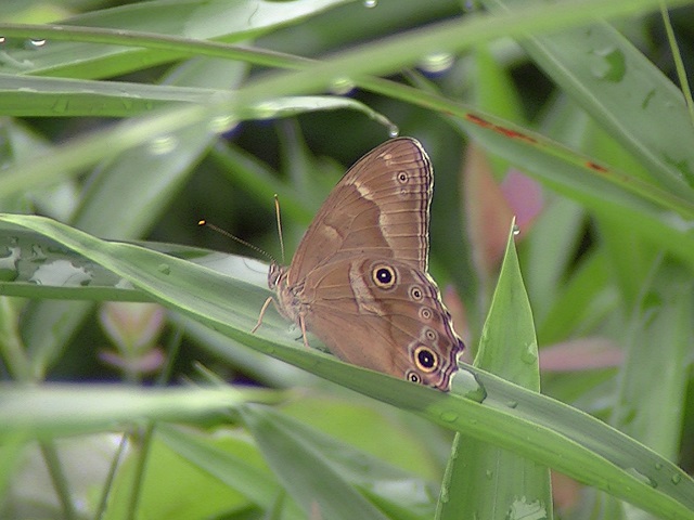 �`���E�`��