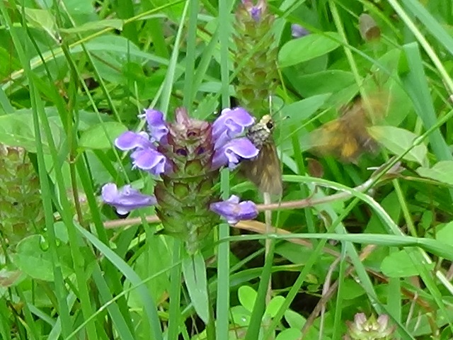 �`���E�`��