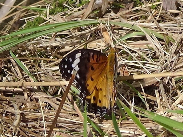 �`���E�`��