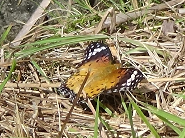 �`���E�`��