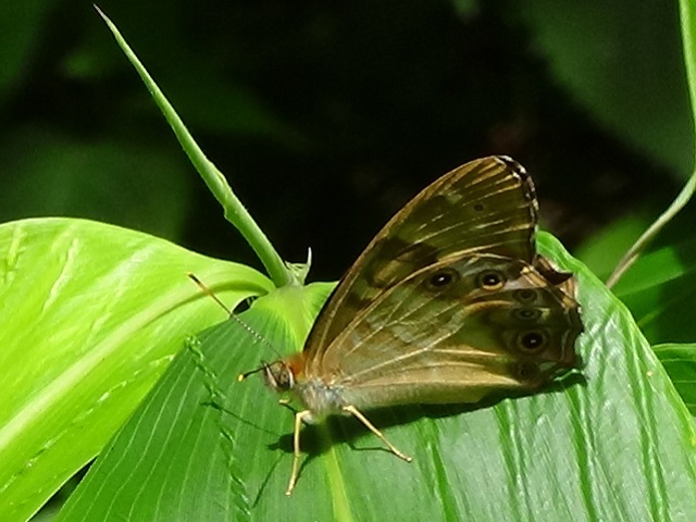 �`���E�`��