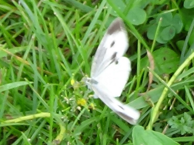 �`���E�`��