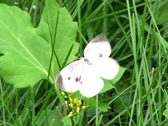 �`���E�`��