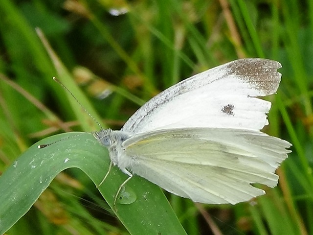 �`���E�`��