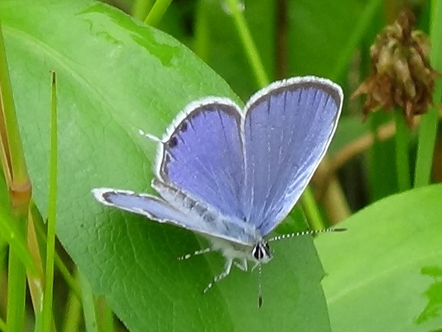 �`���E�`��