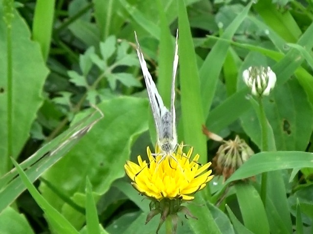 �`���E�`��