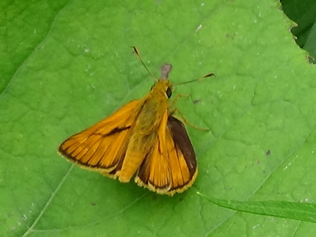 �`���E�`��