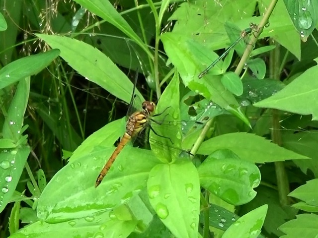 �`���E�`��