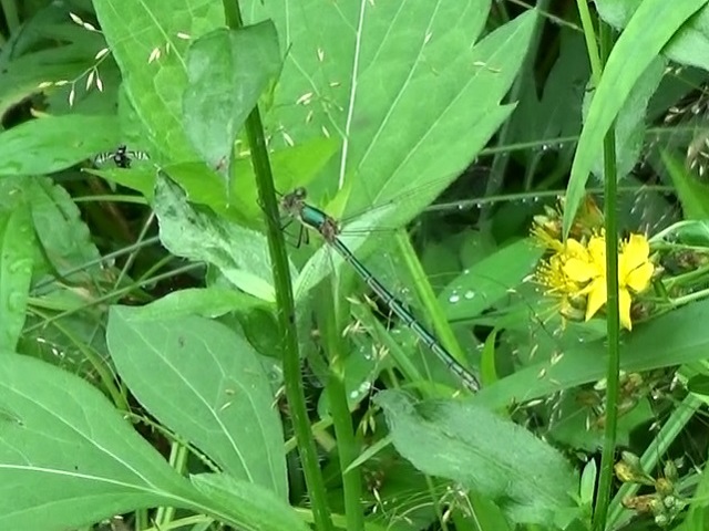 �`���E�`��