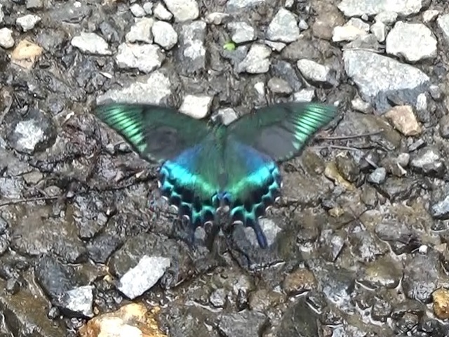 �`���E�`��