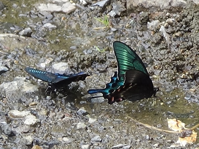 �`���E�`��