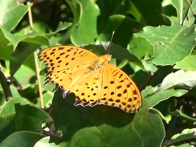 �`���E�`��