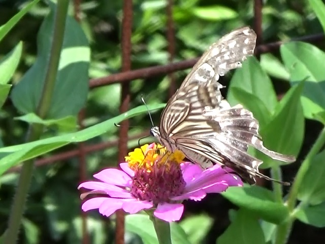 �`���E�`��