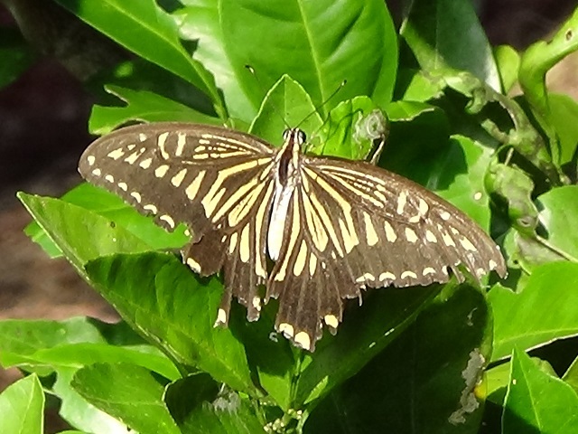 �`���E�`��