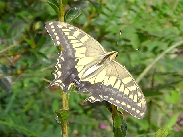 �`���E�`��