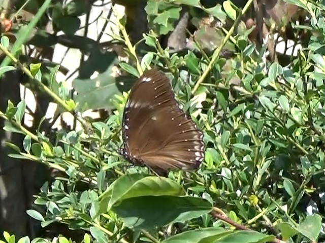 �`���E�`��