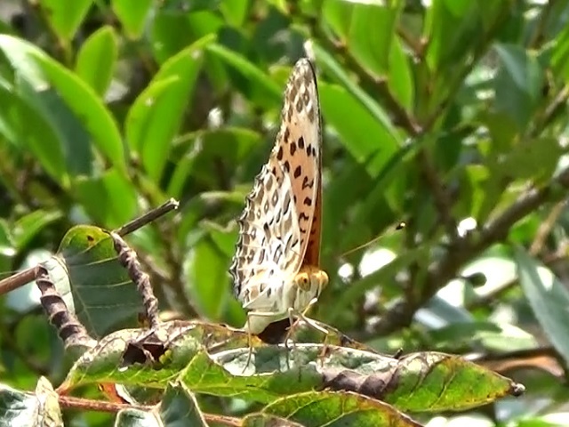 �`���E�`��