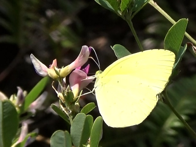 �`���E�`��