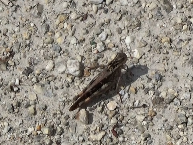 �`���E�`��