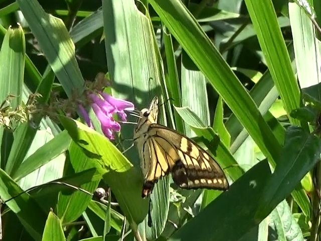 �`���E�`��