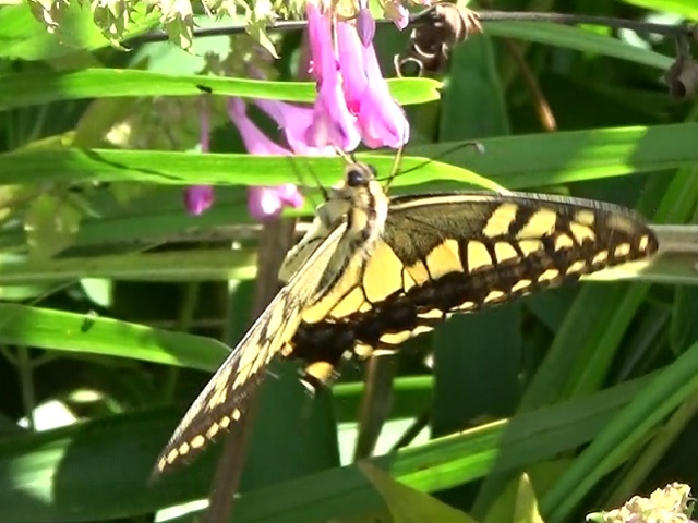 �`���E�`��