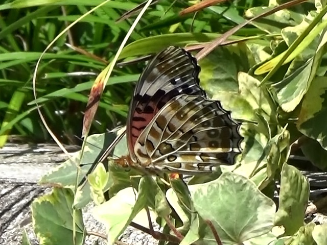 �`���E�`��