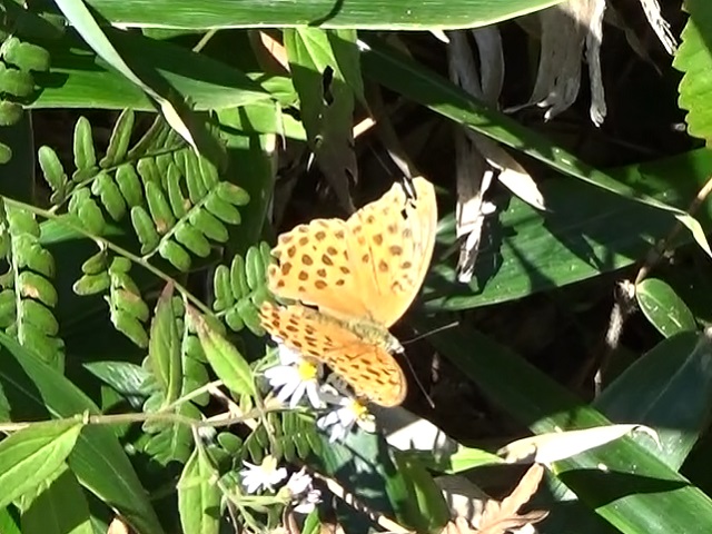 �`���E�`��