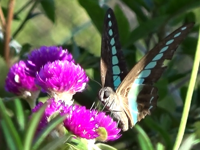 �`���E�`��