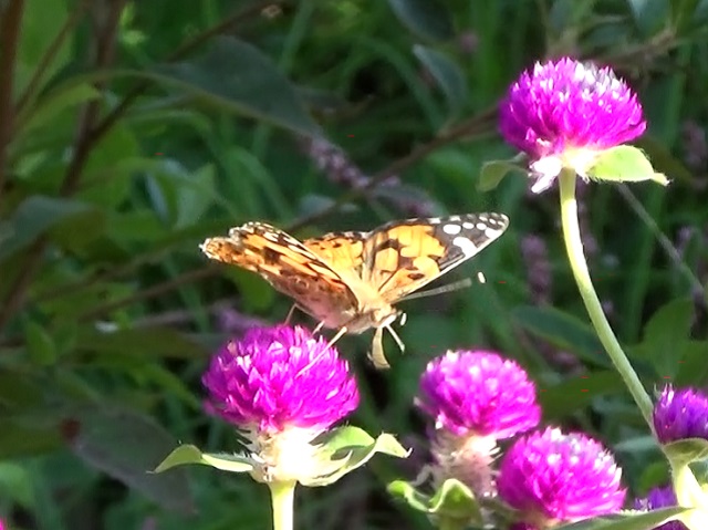 �`���E�`��