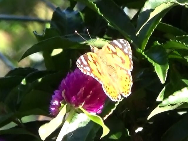 �`���E�`��