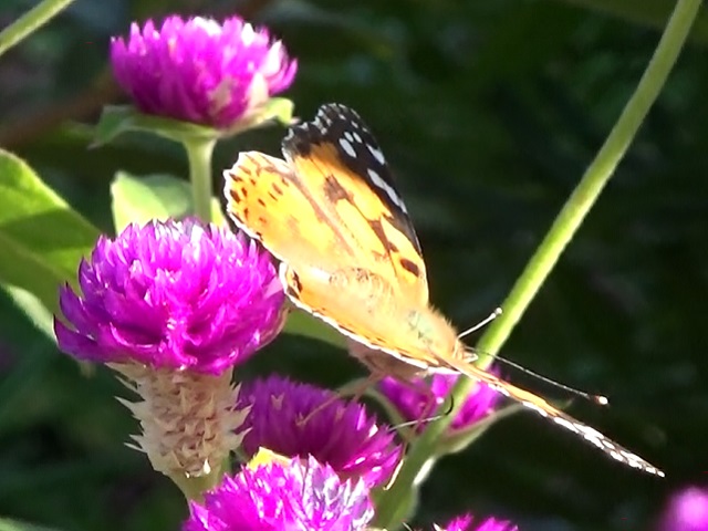 �`���E�`��