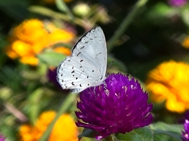 �`���E�`��