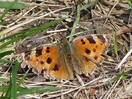 �`���E�`��