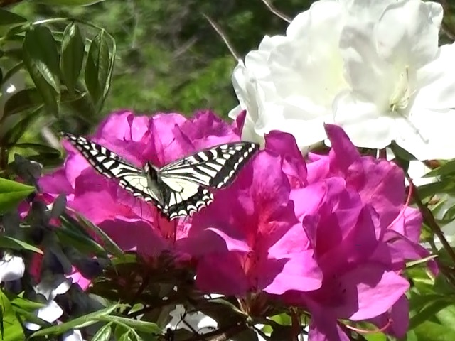 �`���E�`��