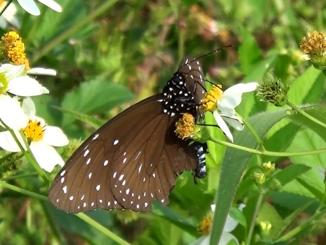 �`���E�`��