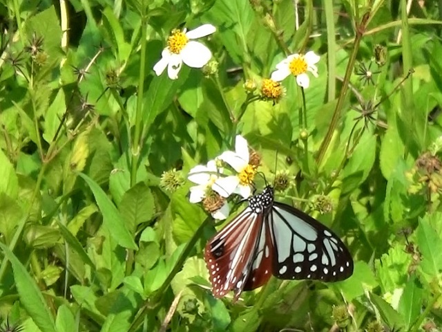 �`���E�`��