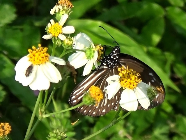 �`���E�`��