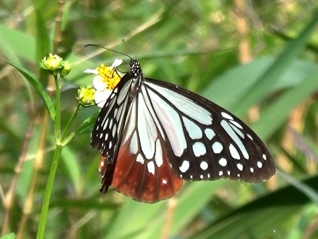 �`���E�`��