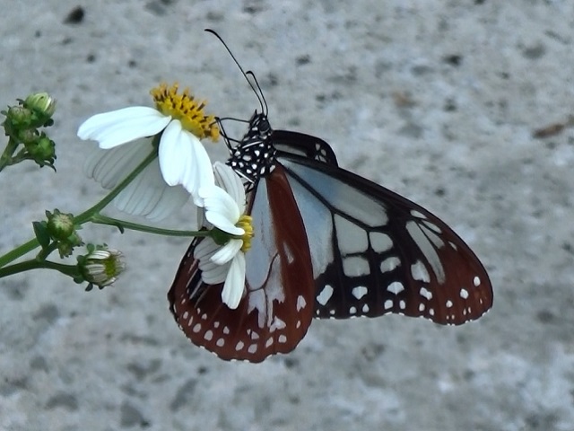 �`���E�`��