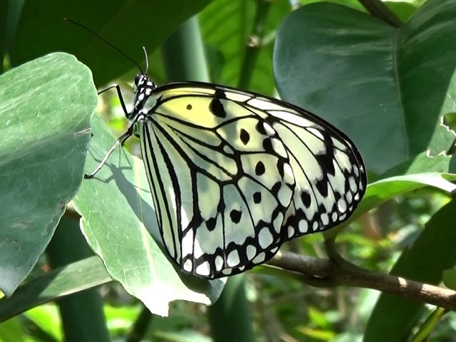 �`���E�`��