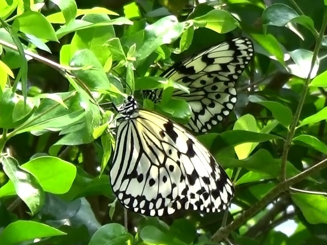 �`���E�`��