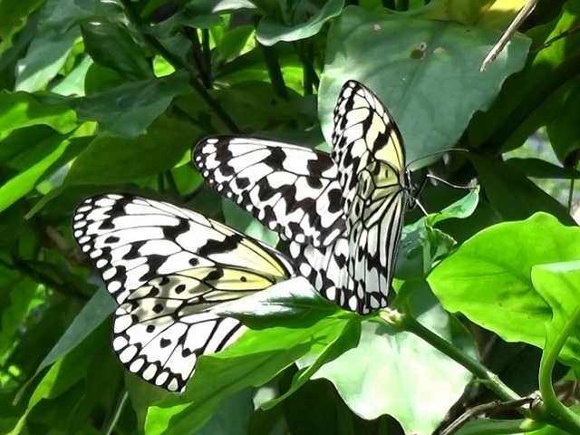 �`���E�`��