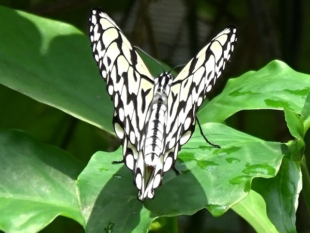 �`���E�`��