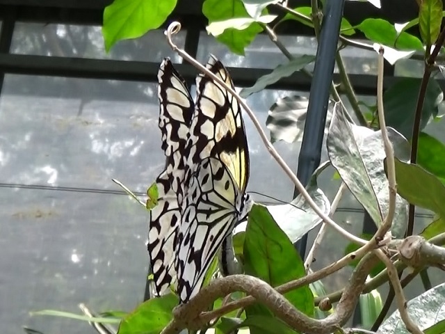 �`���E�`��