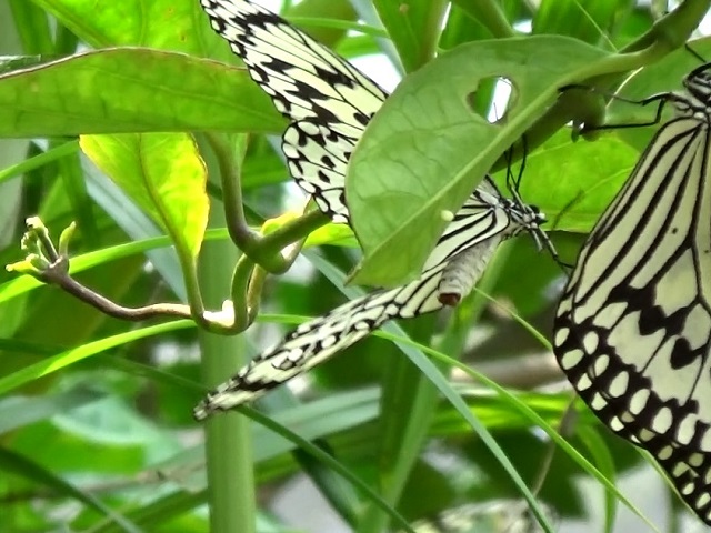 �`���E�`��