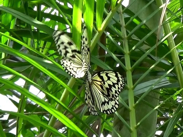 �`���E�`��