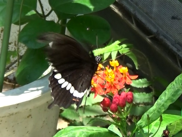 �`���E�`��