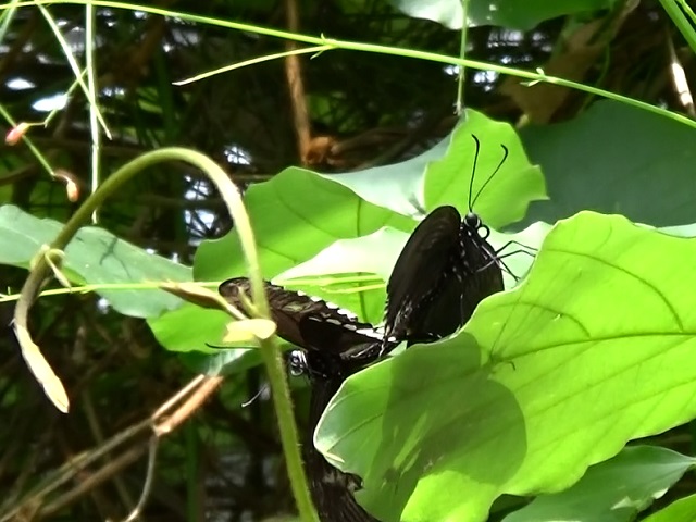 �`���E�`��