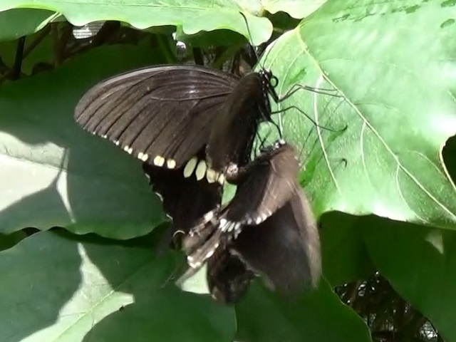 �`���E�`��