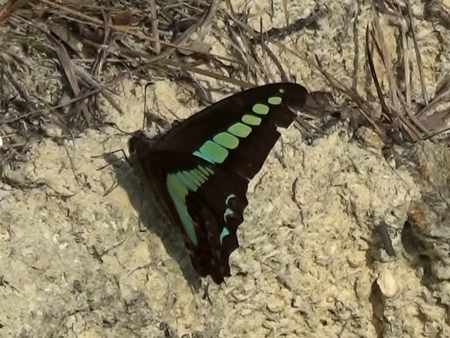 �`���E�`��